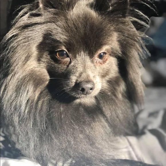 Meet your Posher, Erin - Picture 6 of 6